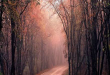 公司简介一键生成免费,公司简介制作