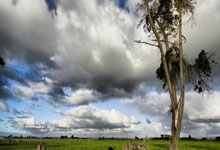 上海市装修价格标准,上海市装修价格标准最新