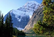 服装公司简介的模板,服装公司简介如何写