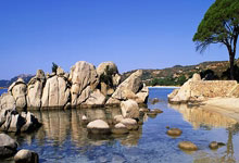 餐桌服务流程及标准,餐桌服务的基本程序