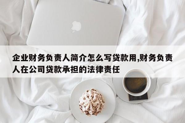 企业财务负责人简介怎么写贷款用,财务负责人在公司贷款承担的法律责任