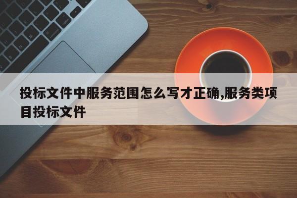 投标文件中服务范围怎么写才正确,服务类项目投标文件