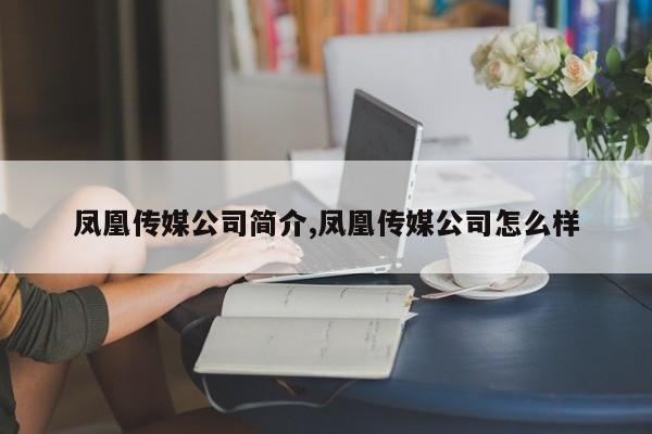 凤凰传媒公司简介,凤凰传媒公司怎么样