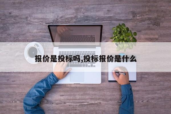 报价是投标吗,投标报价是什么